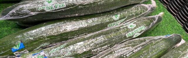 Kurgitootja Grüne Fee laiendab tootmist kolmandiku võrra