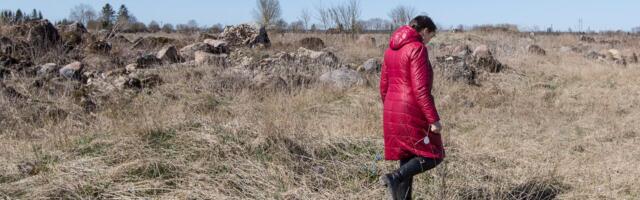 Kohus tühistas Lüganuse lubjakivikarjääri kaevandamisloa