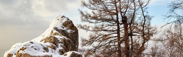 Oma lämmatanud lapsed õue külmuma viinud naine sai mõrvasüüdistse