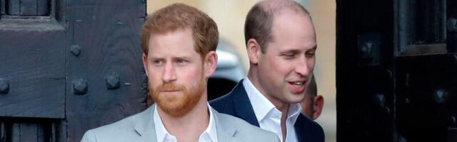 Williamil ja Harryl on kasuvend ja -õde, kes hoiduvad avalikust elust eemale