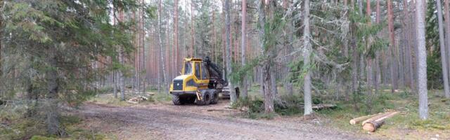 Keskkonnakomisjon toetab riigilõivumäära muutmist metsateatise esitamisel