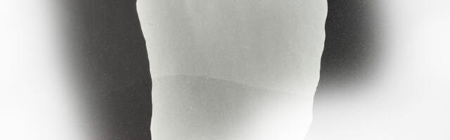 Triin Kuke näitus „Kodus ja võõrsil“ Hop galeriis