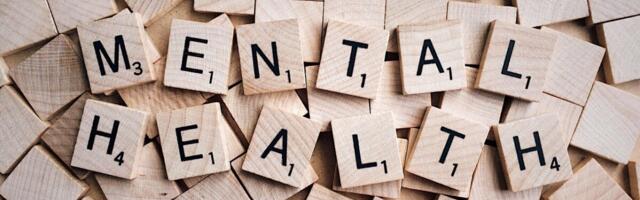 Psühhosotsiaalsed ohutegurid vs. vaimne tervis töökohal