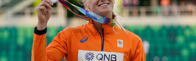 Hollandi tippmitmevõistleja tõmbab karjäärile joone alla