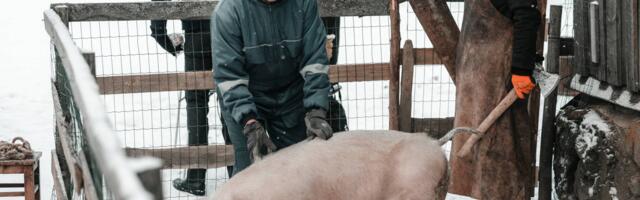 Lõppesid mängufilmi “Seatapp” võtted