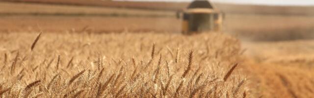 Eesti põllumajanduse tulevik sõltub kodumaisest töötlemisest