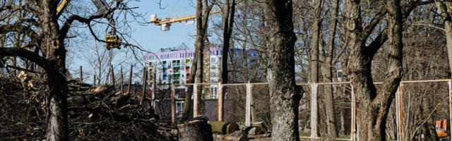 Tallinna Kadrioru staadion saab lisahoone ja täismõõtmetes jalgpalliväljaku