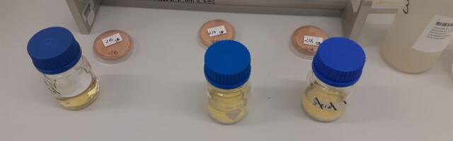 Kuressaare joogivett saastanud bakter on tuvastatud