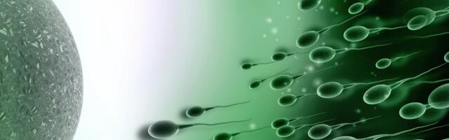 Uus uuring seostab sperma kvaliteeti pikema elueaga