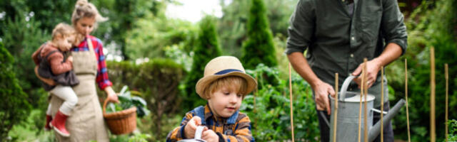 Anija vallavalitsuse ja MTÜ Aiandusühing Sõprus vahel sõlmiti  maa kasutusse andmise leping