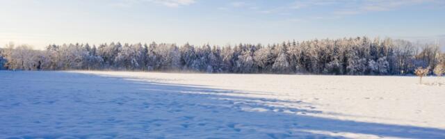 Püsiv lumekate kaitses veebruaris põllukultuure krõbeda pakase eest