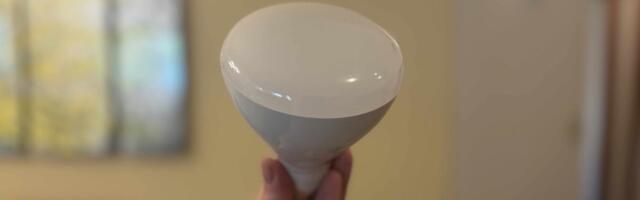 Best LED Floodlights of 2026: Smart Lights for Big Spaces