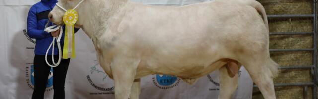 Ohtla noorpull sai kolmanda koha