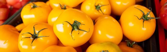 TURUHINNAD | Eesti tomat on kallinenud lausa 55%