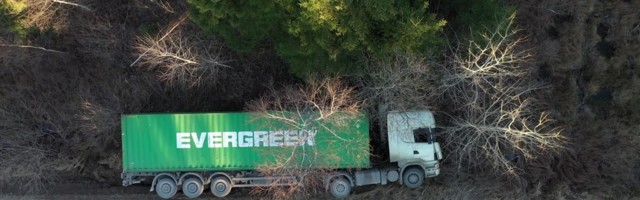 Reporter: Tõenäoliselt telefoni näppinud juht lõpetas vesises kraavis