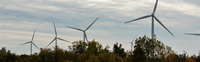 Margus Paap: kumba peaks nimetama solkelektriks – taastuvenergiat või saastavenergiat?