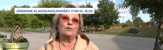 Loomaaias saab kuulata klassikalist muusikat, seda naudivad nii jääkarud kui ka loomaaia külastajad
