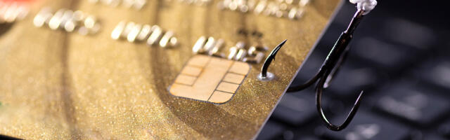 Kelmuse ohvriks langemist aitab vältida inimese enda nutikus