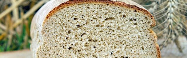 Algas konkurss Eesti toidupiirkonna tiitli kandja leidmiseks