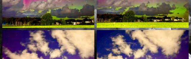 Ethel Urbalu NÄDALA FOTOKOLLAAŽ