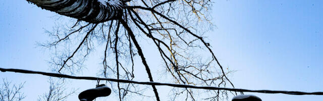 Laupäeval on ilm pilvine ja võib sadada lund