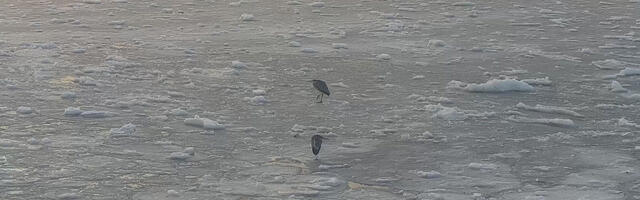 Jääolud – enne jääle minekut veendu, kas see kannab ka sind