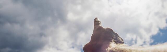 USA hakkab Epsteini skandaali ajal avalikustama hoopis UFO-toimikuid