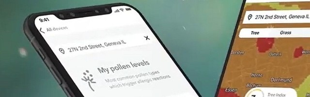 Allergiate aeg on käes: Airthingsi targa kodu äpiga saab nüüd täpset õietolmuinfot