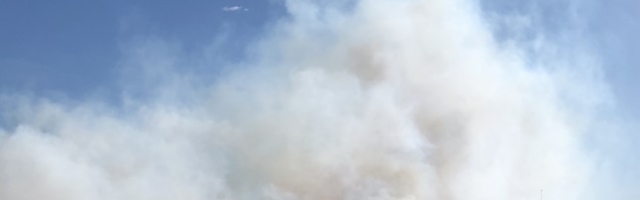 Pärnumaal Maima külas põleb turbaraba