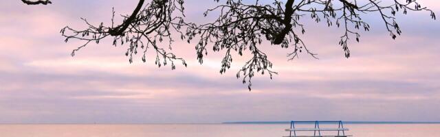 RUSLAN DONTSOVI GALERII: Viimsi veebruaris