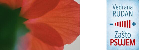 Regionalne autorke koje pomeraju granice: Glasovi koji menjaju književnost i i knjige koje ne smete zaobići