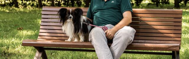 Kivirähaga läbi kaamose