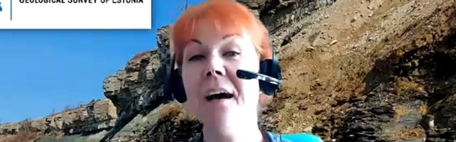 Geoloogiateenistus näeb ohtu: Hiina on suuteline tulema ja Eestis maid kokku ostma asuda