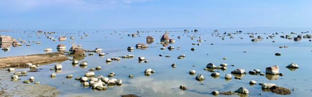 Kaarel Zilmer NÄDALA FOTO