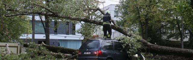 Kindlustusekspert selgitab: kõige kindlam viis oma vara tormi eest kaitsmiseks on ennetustöö