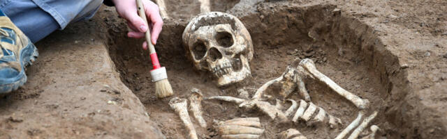 Šveitsist sai ideoloogiline politseiriik? Mees läheb vangi, sest ei uskunud „transsoolistesse inimskelettidesse“