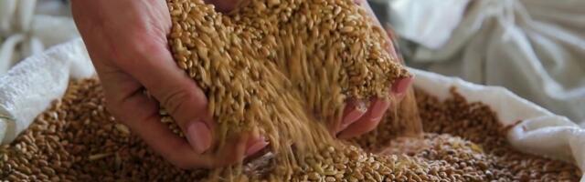 Reporter: Kas sõda toob Eestisse näljahäda?