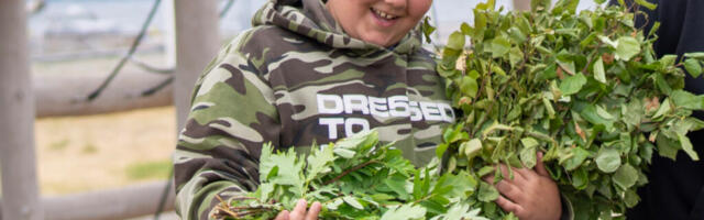 Kask, kadakas ja lilleõis – ühed vihad kõik