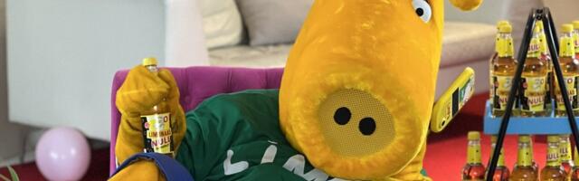 Eksklusiivintervjuu Limpaga_ vahel on seda uut raske leida