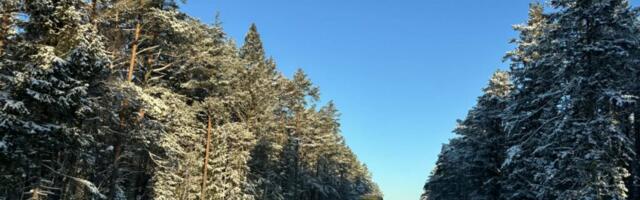 ILMATEADE | Ilm püsib talve nägu