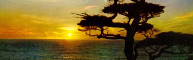 Kuidas toimus loomade muistne ränne Ameerikatesse? Vastuse võivad anda hiiglaslikud saared merepõhjas