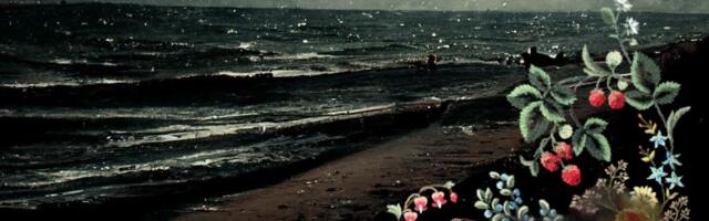 MINA ELASIN SIIN ⟩ Muhumaa. Tükeldatud naisterahvaid täis topitud Kesselaiu üüdiaugud