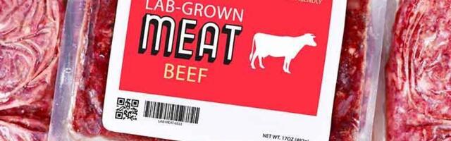 Laboratoorne liha on inimese tervisele kahjulik