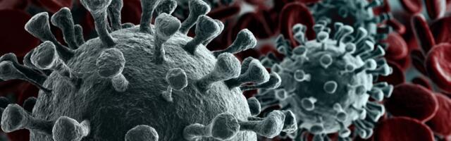 Uuring: Koroonaviirus ei hävita patsientide immuunkaitset