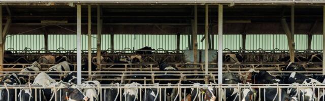 EL käsib lautade katustele päikeseparke rajama hakata