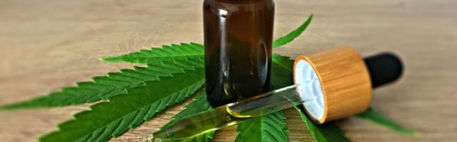 Kogemuslugu: CBD-õliga kevadväsimuse ja unetuse vastu