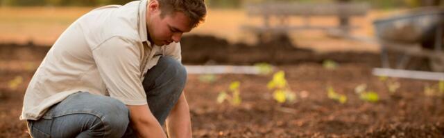 246 noortalunikku taotleb PRIAlt toetust