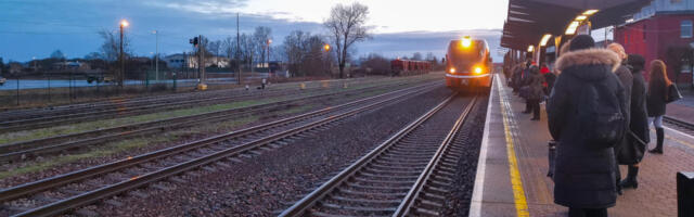Margus Kukk: kes on rohkem rändaktivisti tiitlit väärt kandma?