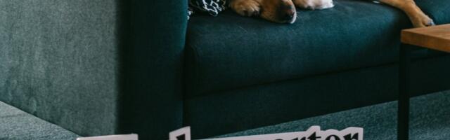 Kuidas luua vaimset tervist toetavat töökeskkonda: 10 praktilist soovitust Scorolt