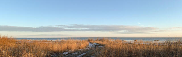 AHTO ILMAJUTUD | Nädal toob kuni kümme soojakraadi